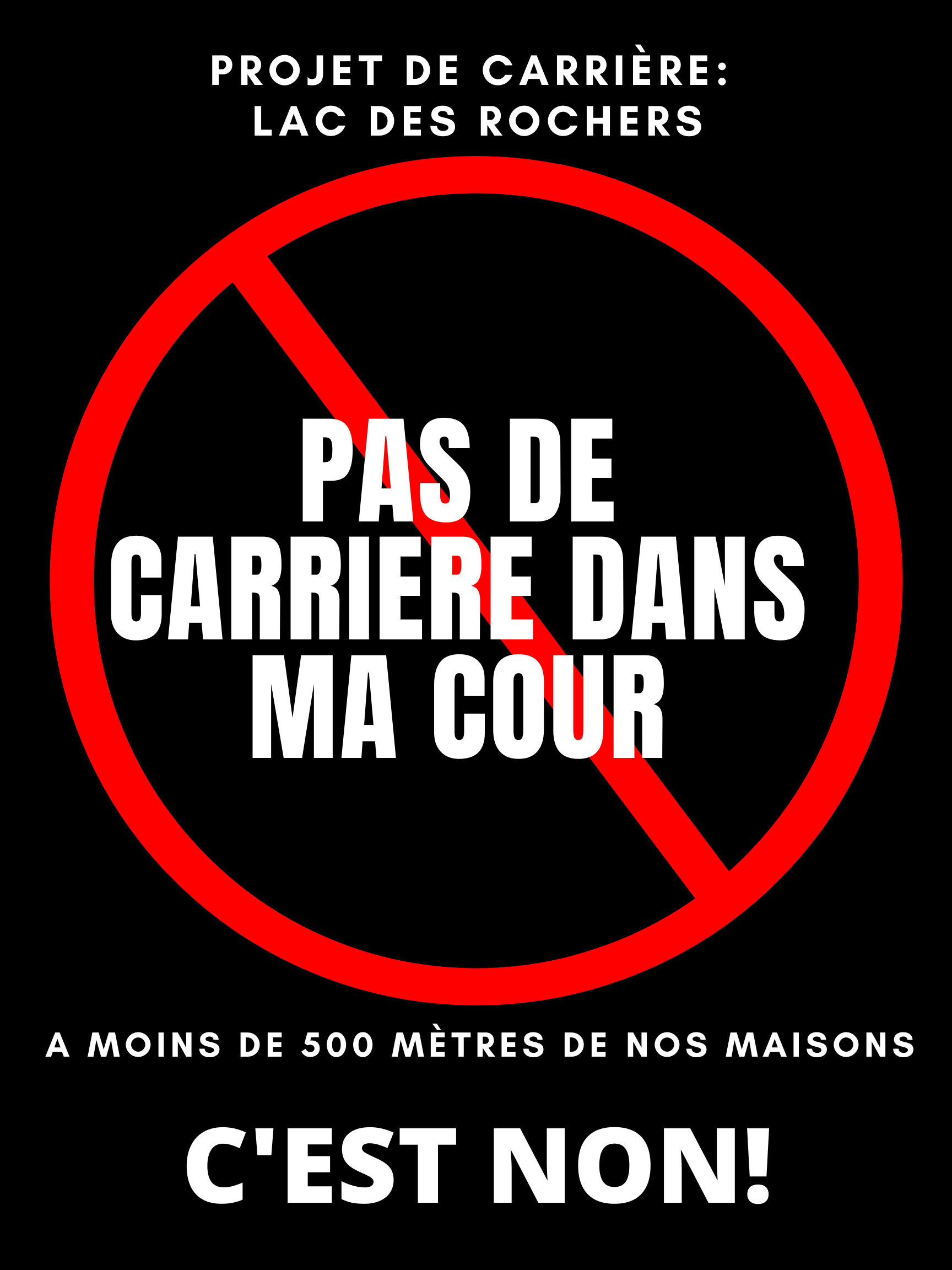 NON_A_LA_CARRIERE_DANS_MA_COUR_(1)1.png